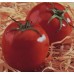 Curso 26, 27 e 28 de abril/2024  - Hidroponia, Tomate, Pimentão e Beringela