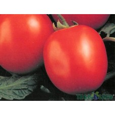 Curso 26, 27 e 28 de abril/2024  - Hidroponia, Tomate, Pimentão e Beringela